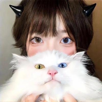 猫咪咖啡厅